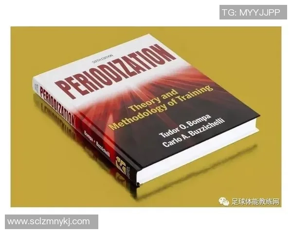 武汉足球队耐力分析与战术适应性研究探讨